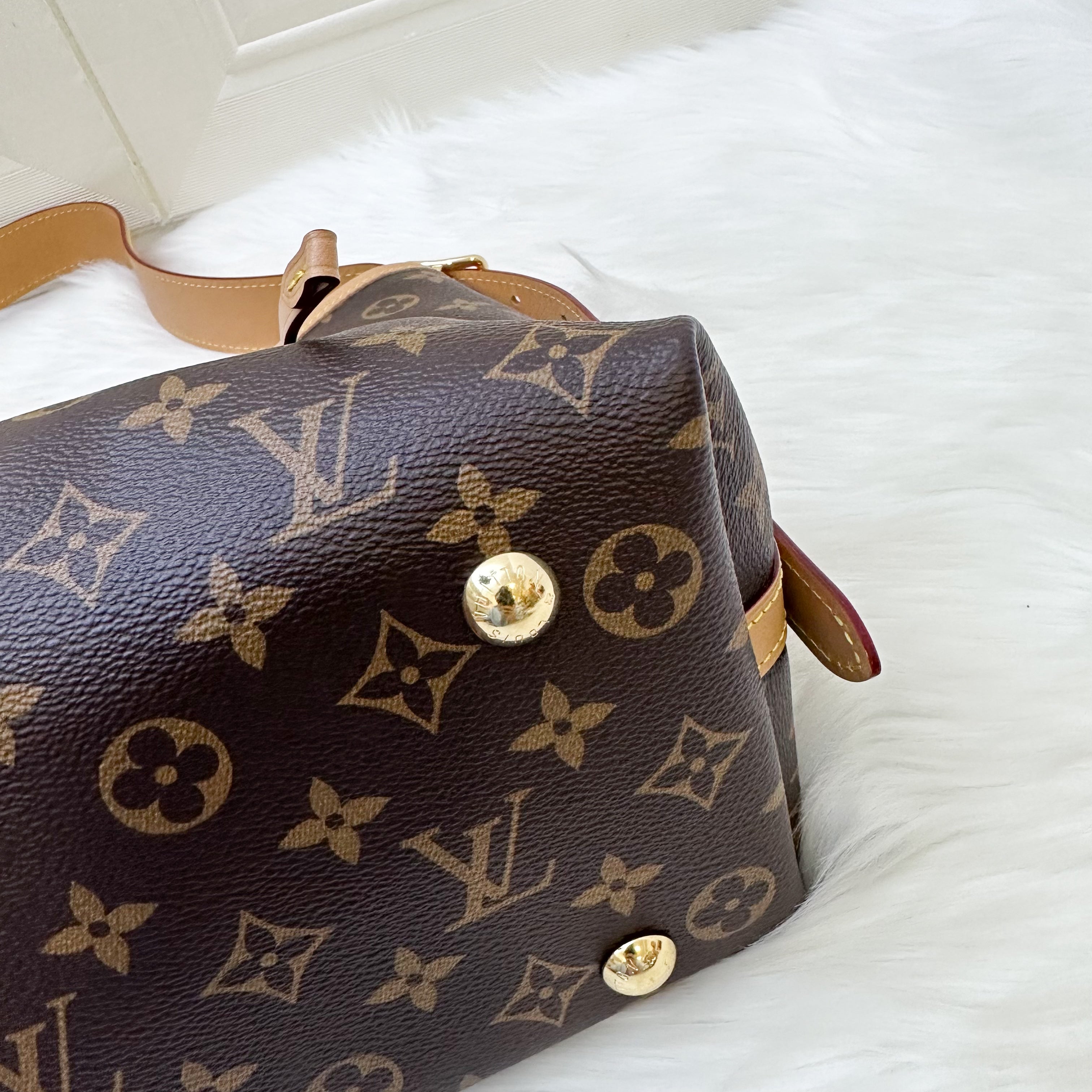 LV Carryall PM in Monogram Canvas and GHW