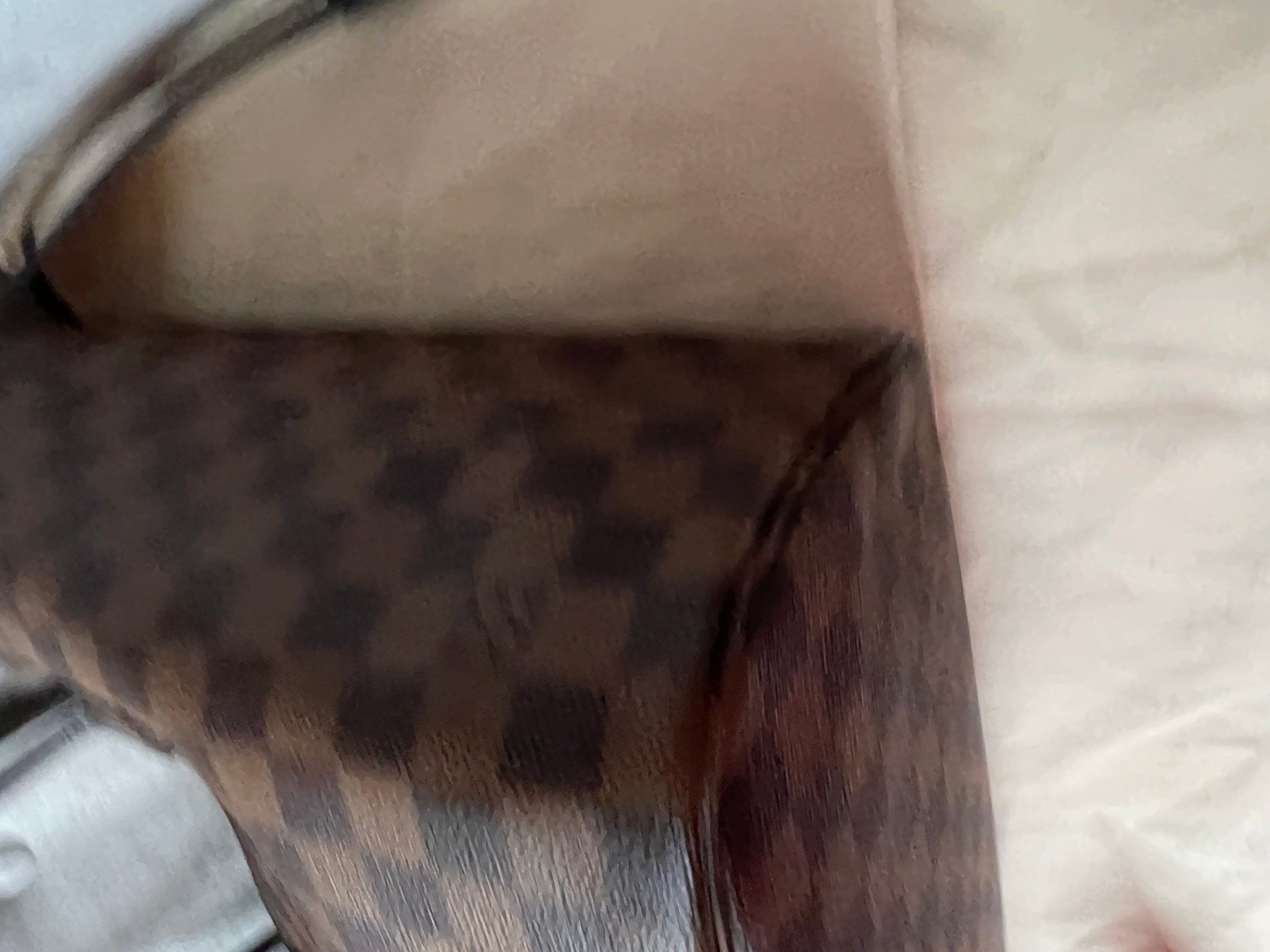 Louis Vuitton Neverfull MM Damier Ebene Rose Ballerine (RRP £1,410)