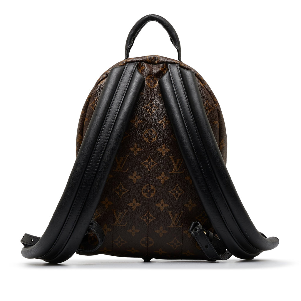 Louis Vuitton Palm Springs Backpack PM Monogram Reverse