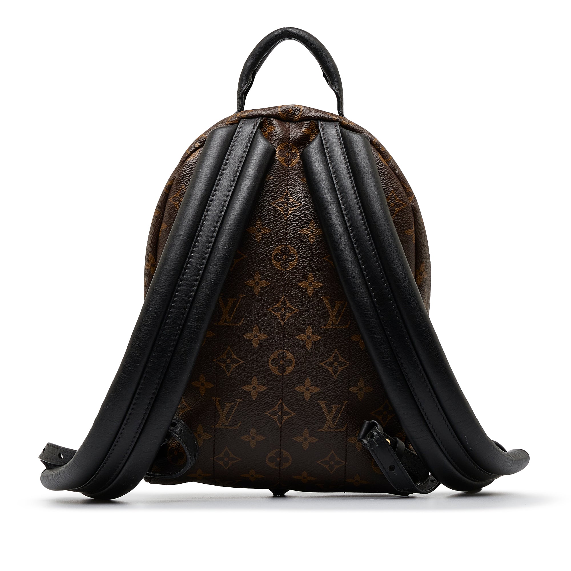 Louis Vuitton Palm Springs Backpack PM Monogram Reverse