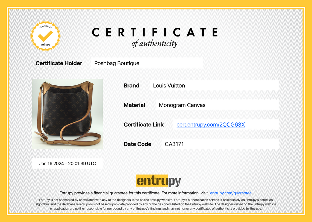 Louis Vuitto Odeon PM Monogram Canvas Bag