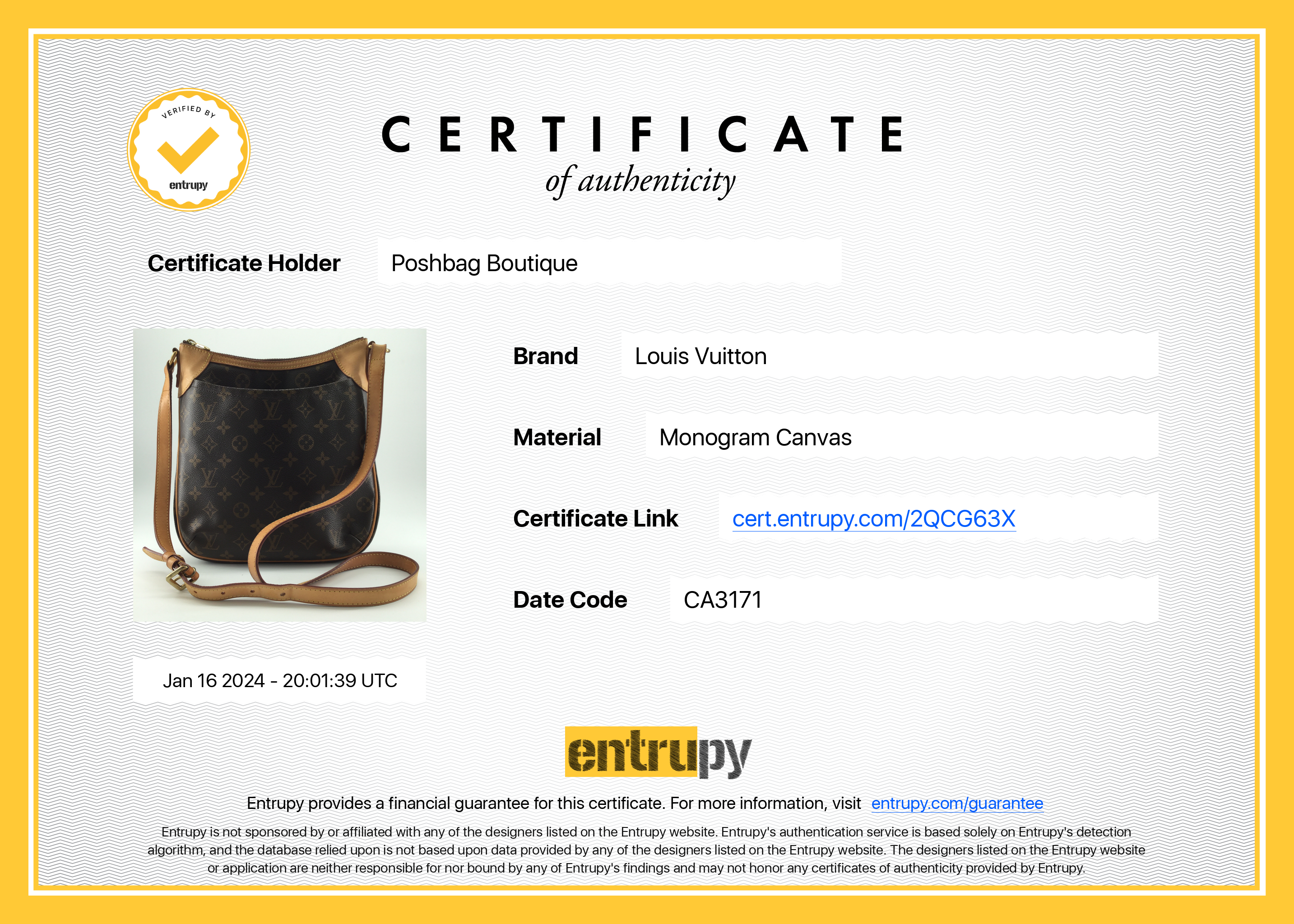 Louis Vuitto Odeon PM Monogram Canvas Bag