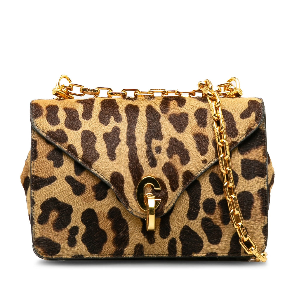 C'est Dior Flap Bag