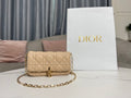 BLUSH BAGZ - Dior Bags - 1269