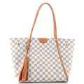 Louis Vuitton Propriano Handbag Damier