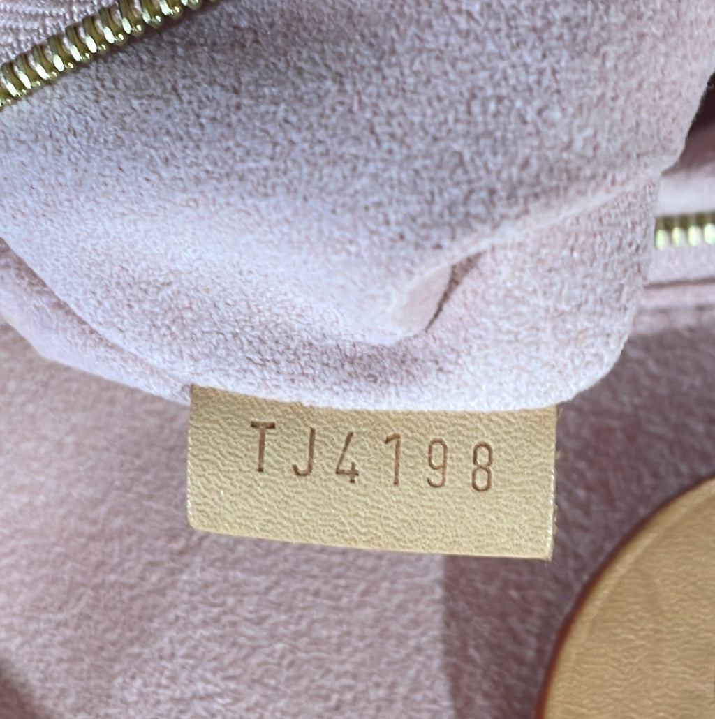 Louis Vuitton Propriano Handbag Damier