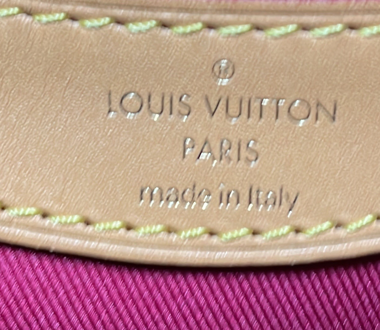 Louis Vuitton Diane NM Handbag Monogram Canvas