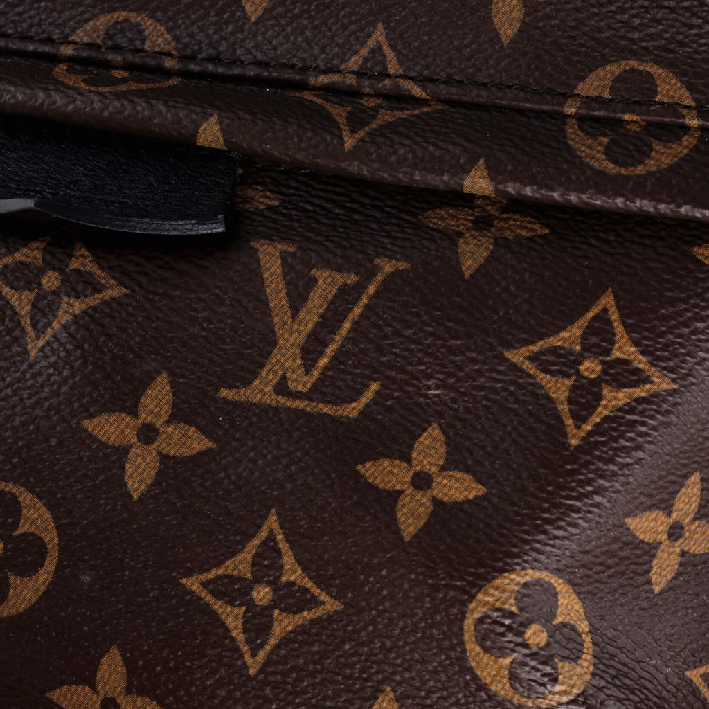 Louis Vuitton Palm Springs Backpack Monogram Canvas MM