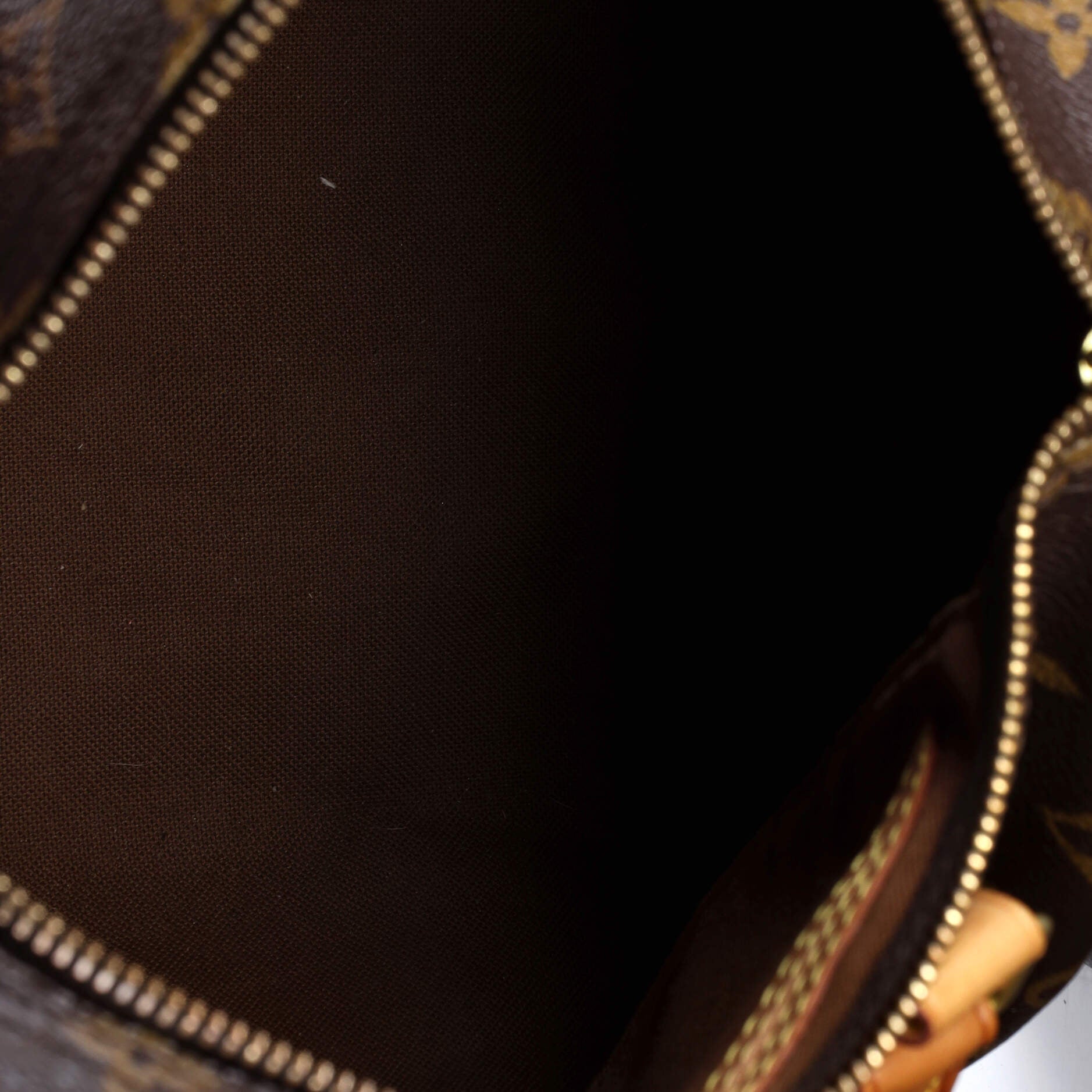 Louis Vuitton Speedy Handbag Monogram Canvas 25