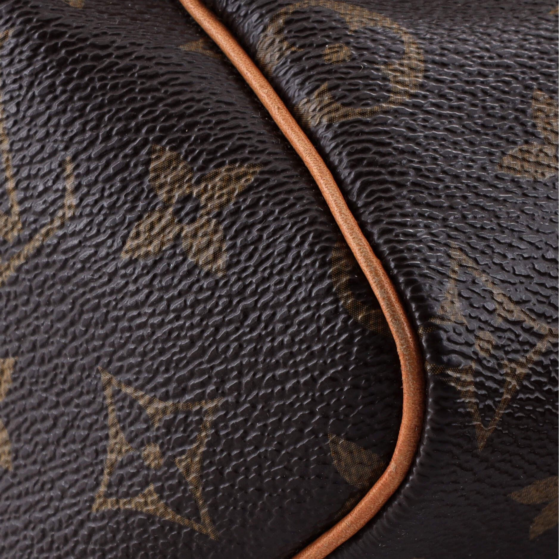Louis Vuitton Speedy Handbag Monogram Canvas 25
