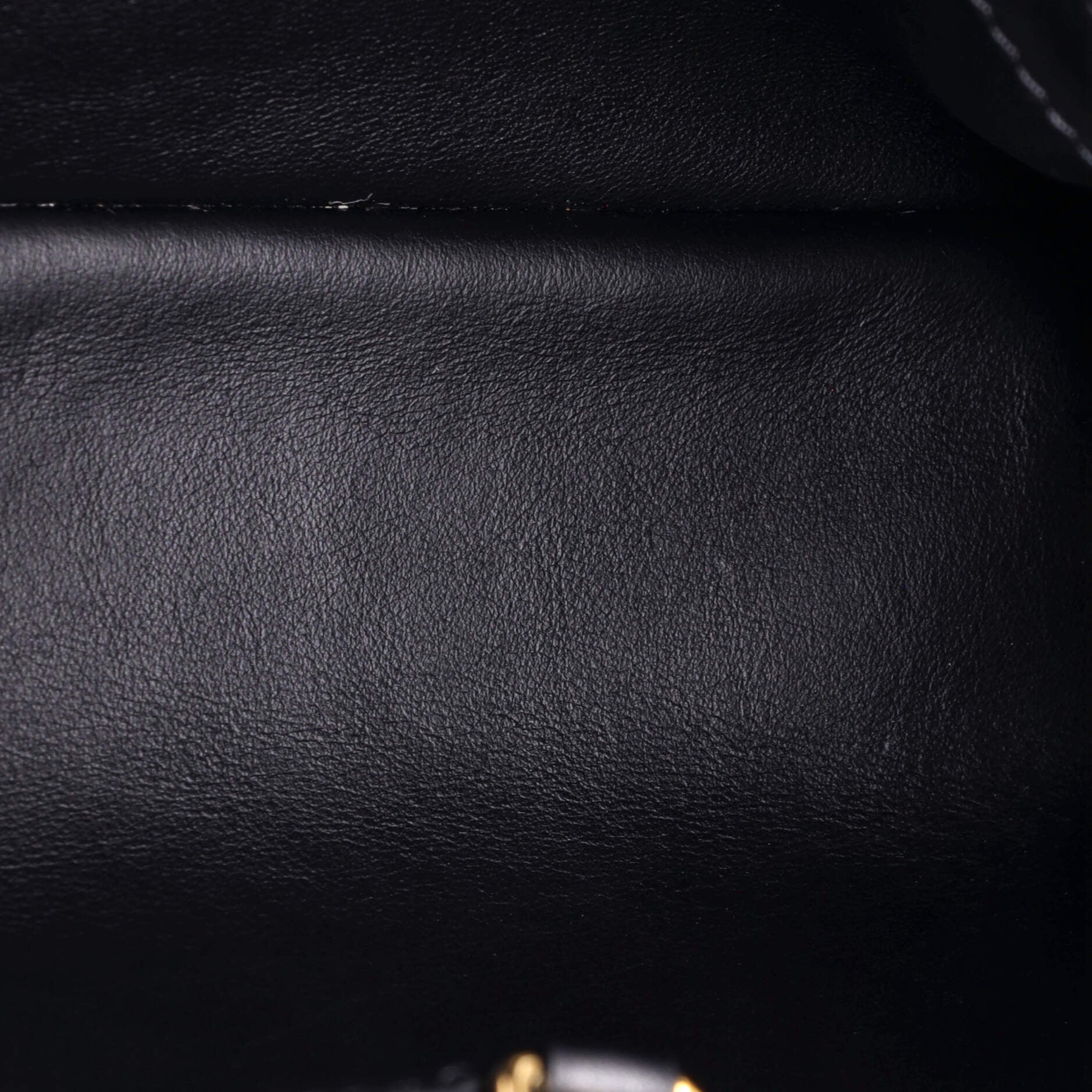 Louis Vuitton Capucines Bag Limited Edition Since 1854 Monogram Calfskin PM