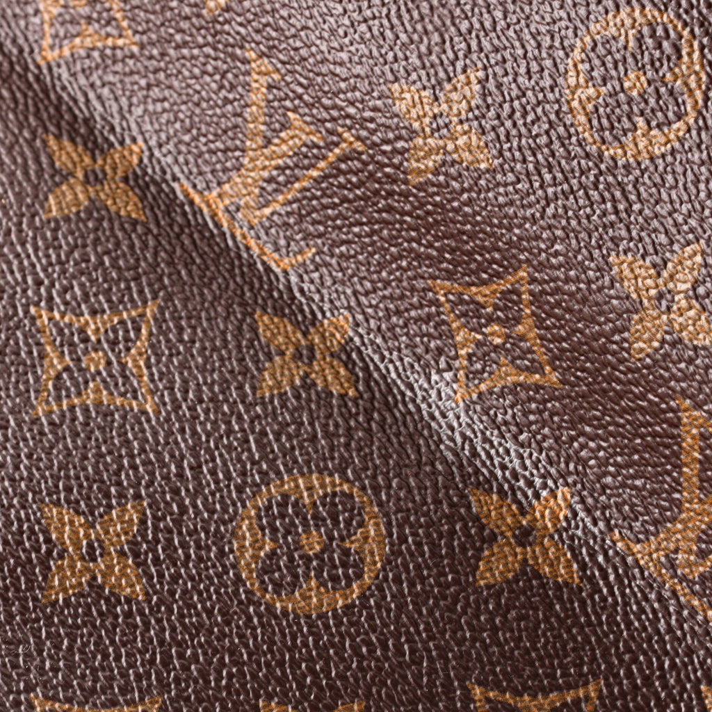Louis Vuitton Tuileries Hobo Monogram Canvas with Leather