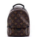 Louis Vuitton Palm Springs Backpack Monogram Canvas Mini