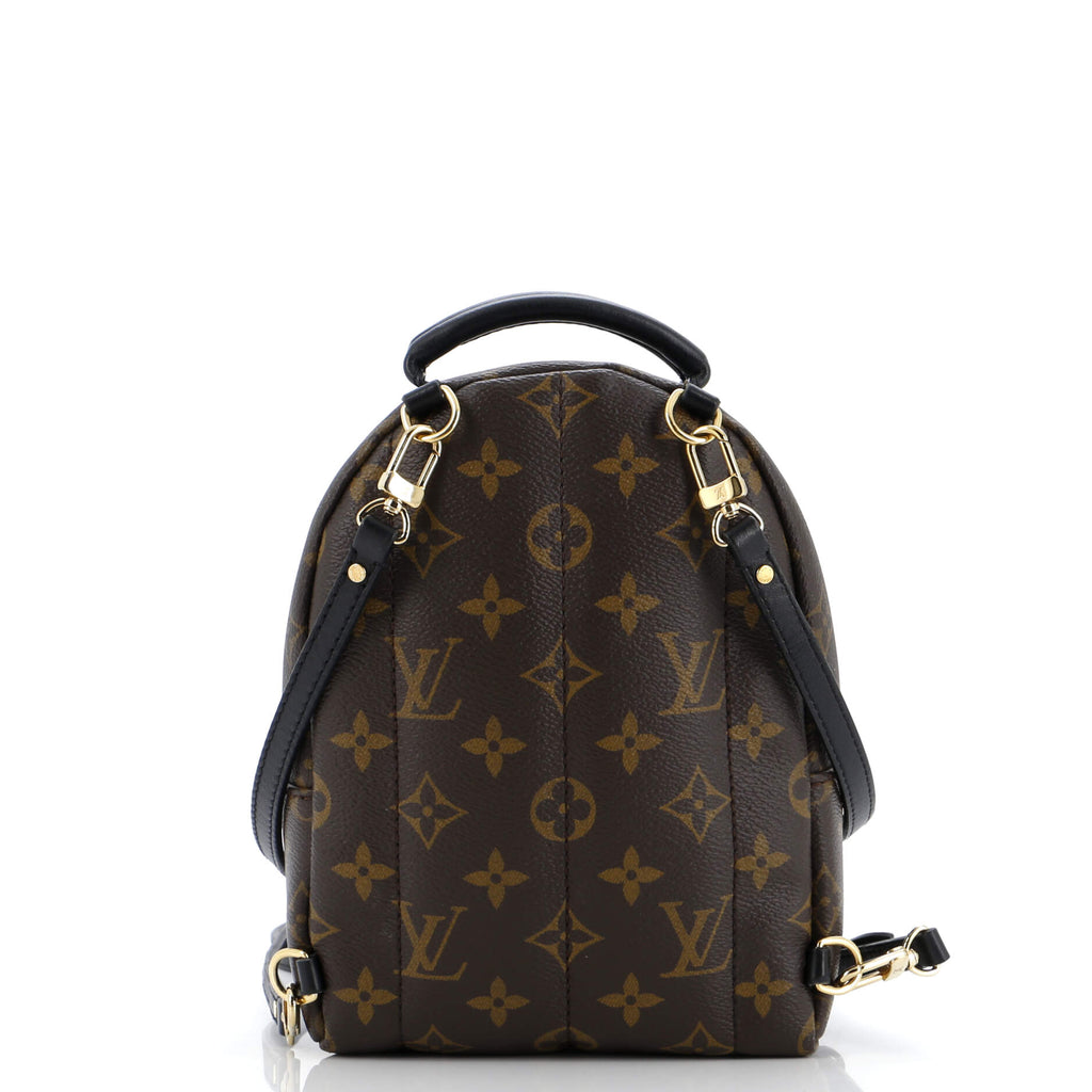 Louis Vuitton Palm Springs Backpack Monogram Canvas Mini