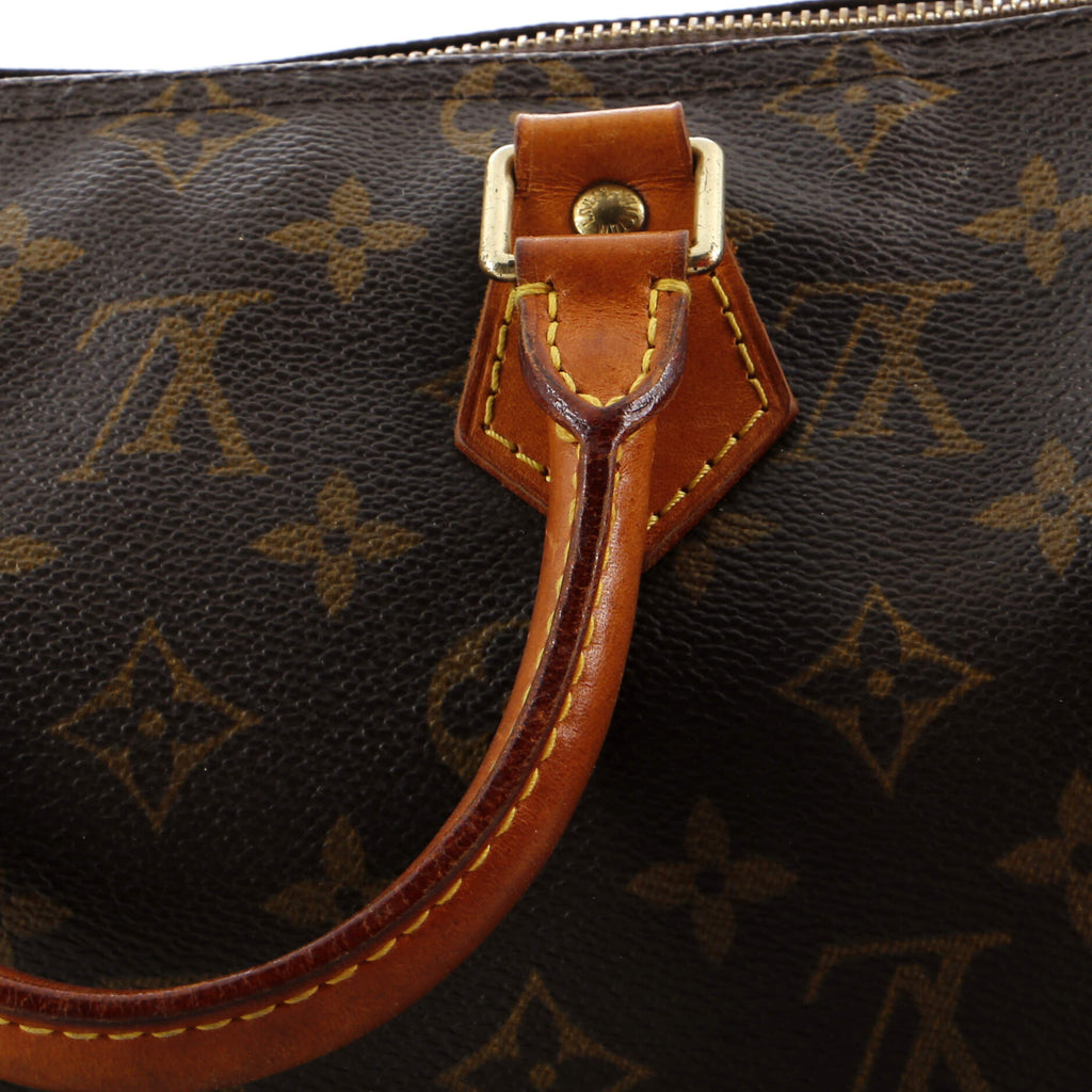 Louis Vuitton Speedy Handbag Monogram Canvas 25