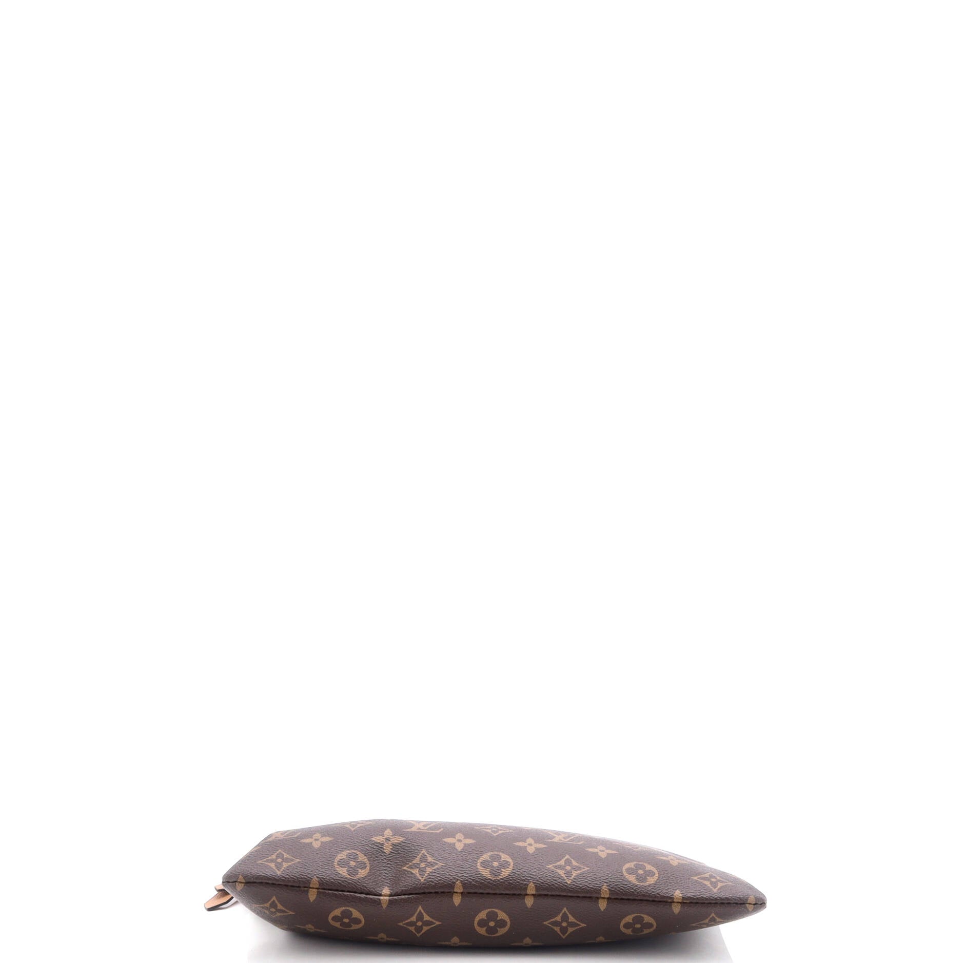 Louis Vuitton Daily Pouch Monogram Canvas