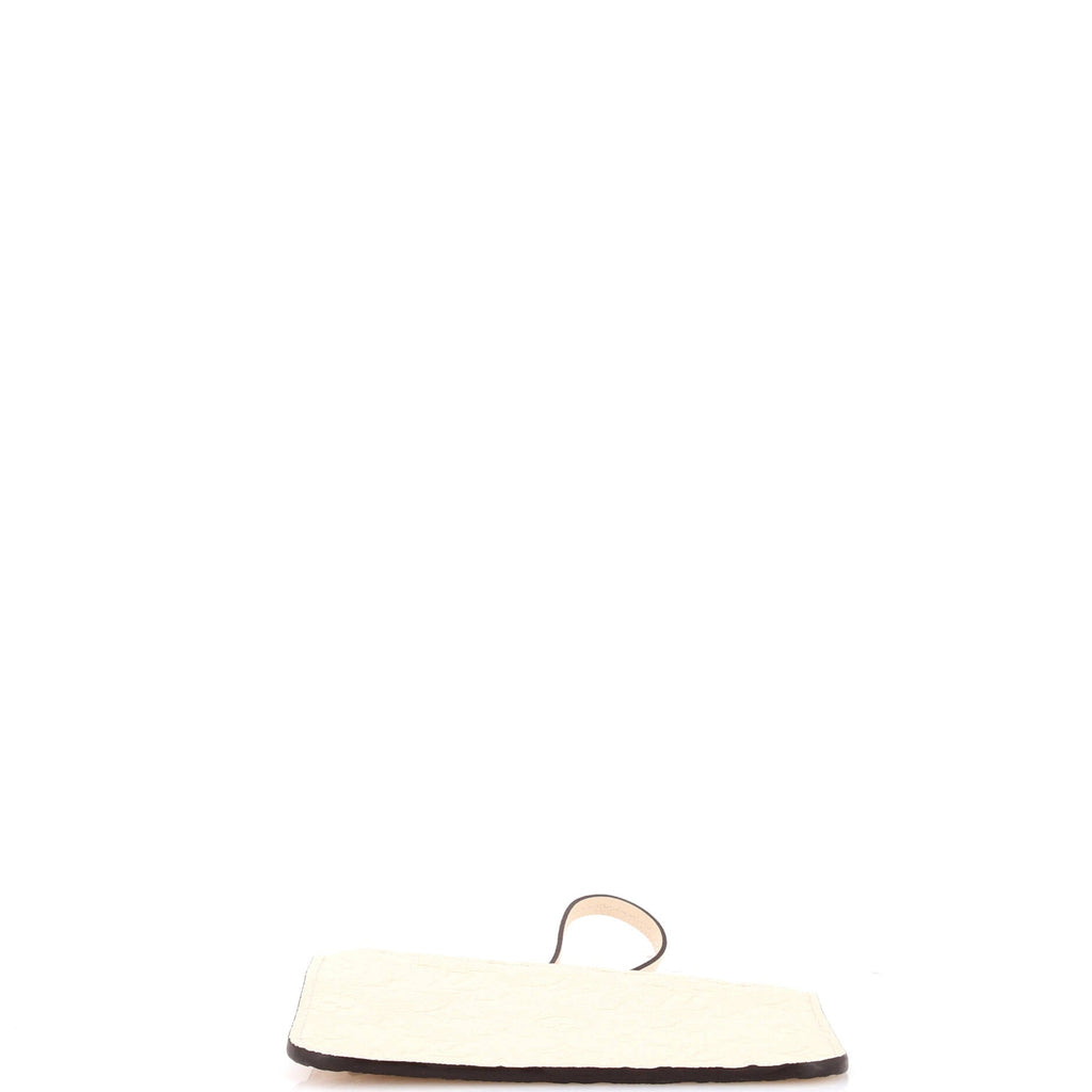 Louis Vuitton Loop Hobo Pouch Monogram Canvas
