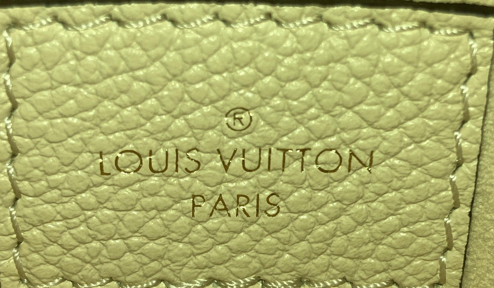 Louis Vuitton Loop Hobo Pouch Monogram Canvas