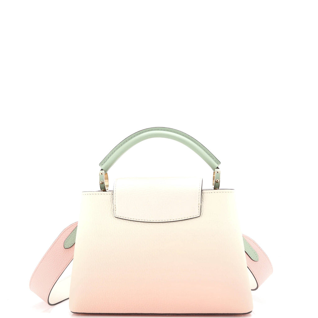 Louis Vuitton Flower Charm Capucines Bag Leather BB