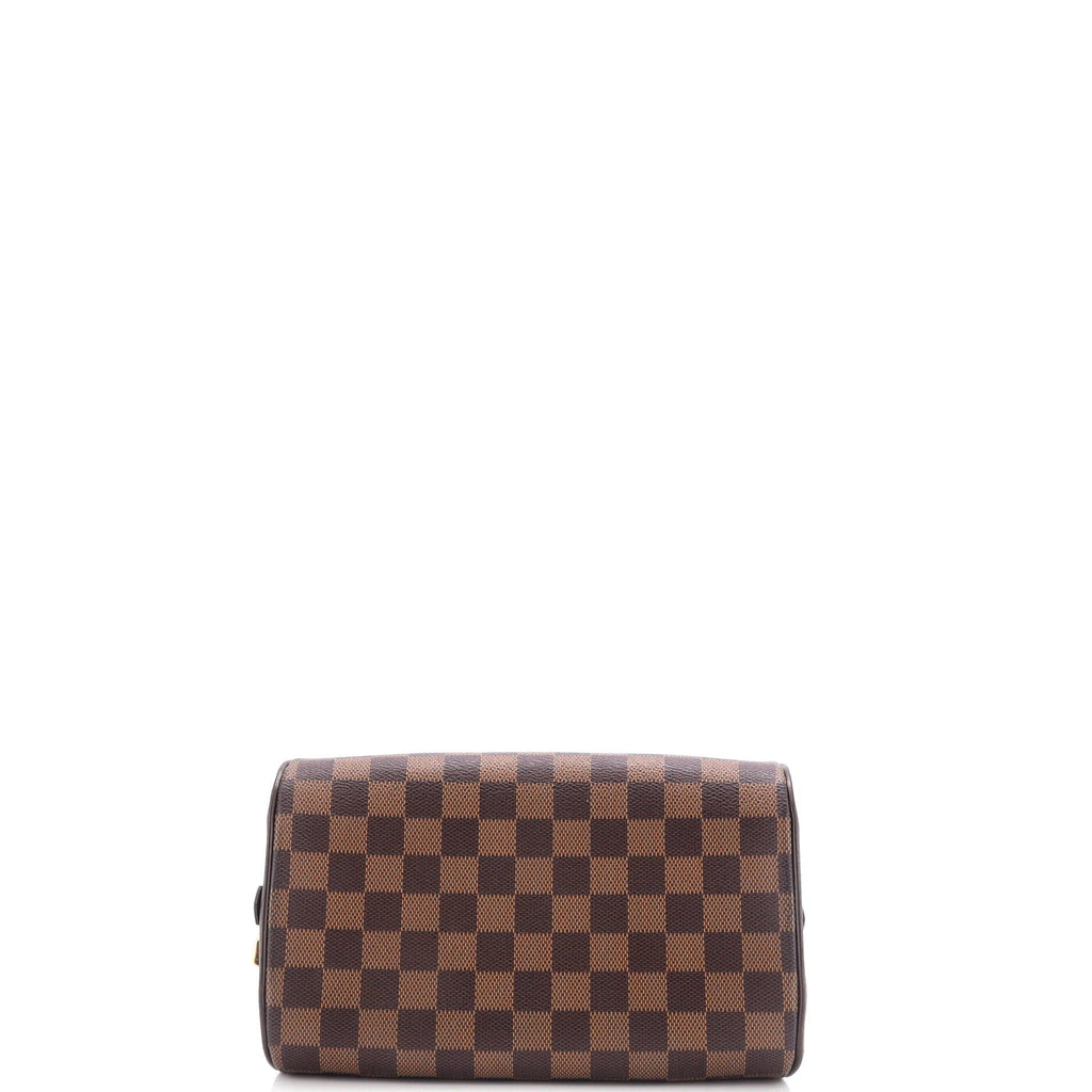 Louis Vuitton Ribera Handbag Damier Mini