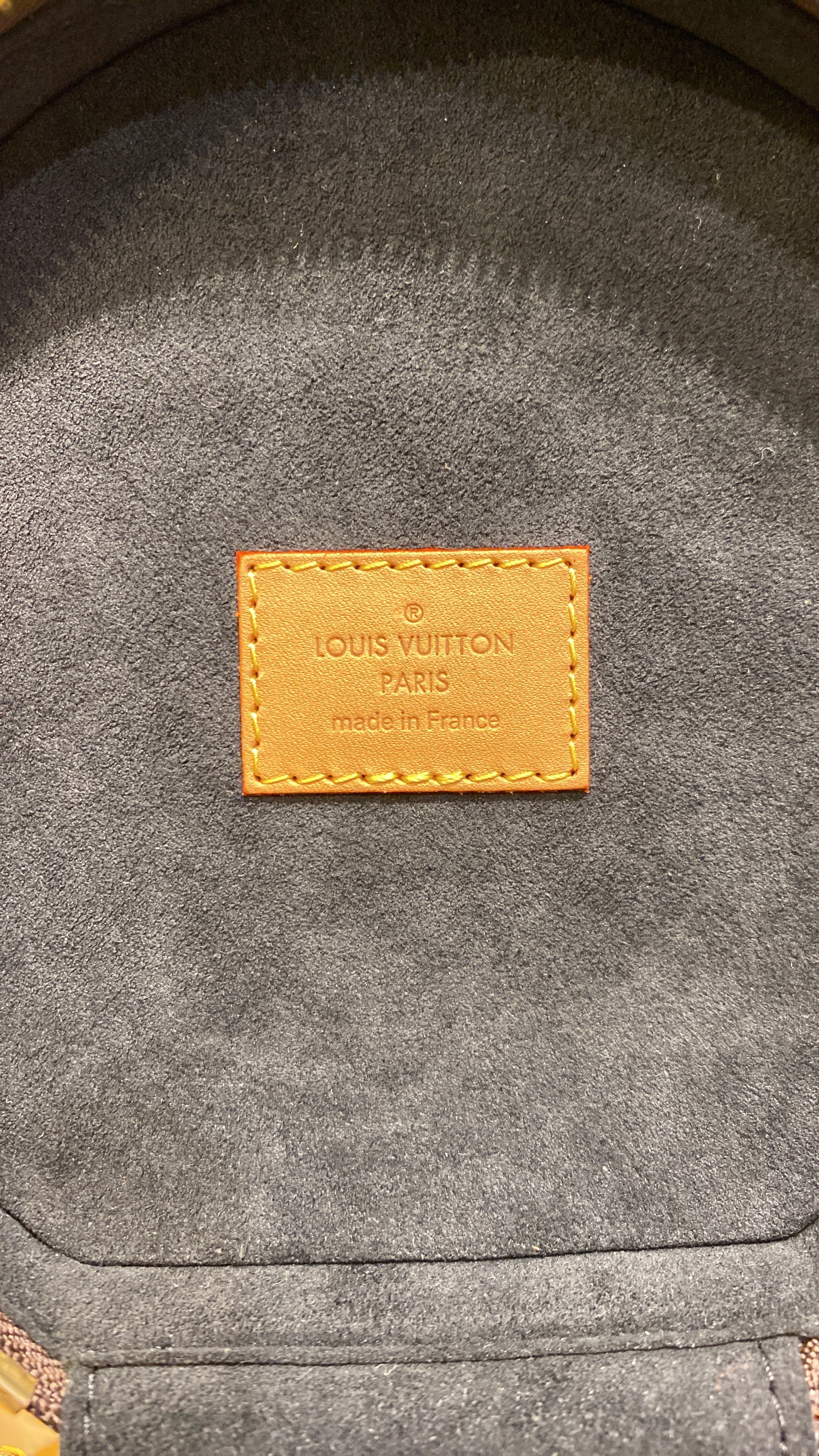 Louis Vuitton Cannes Handbag Reverse Monogram Giant