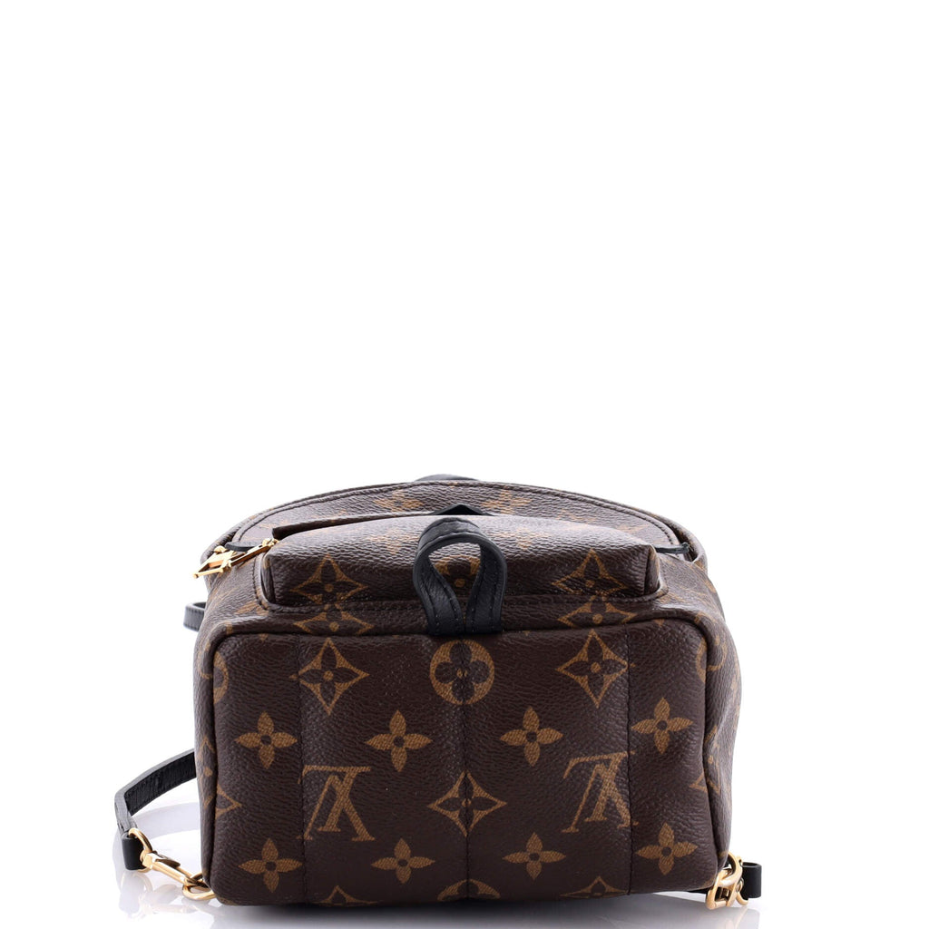 Louis Vuitton Palm Springs Backpack Monogram Canvas Mini