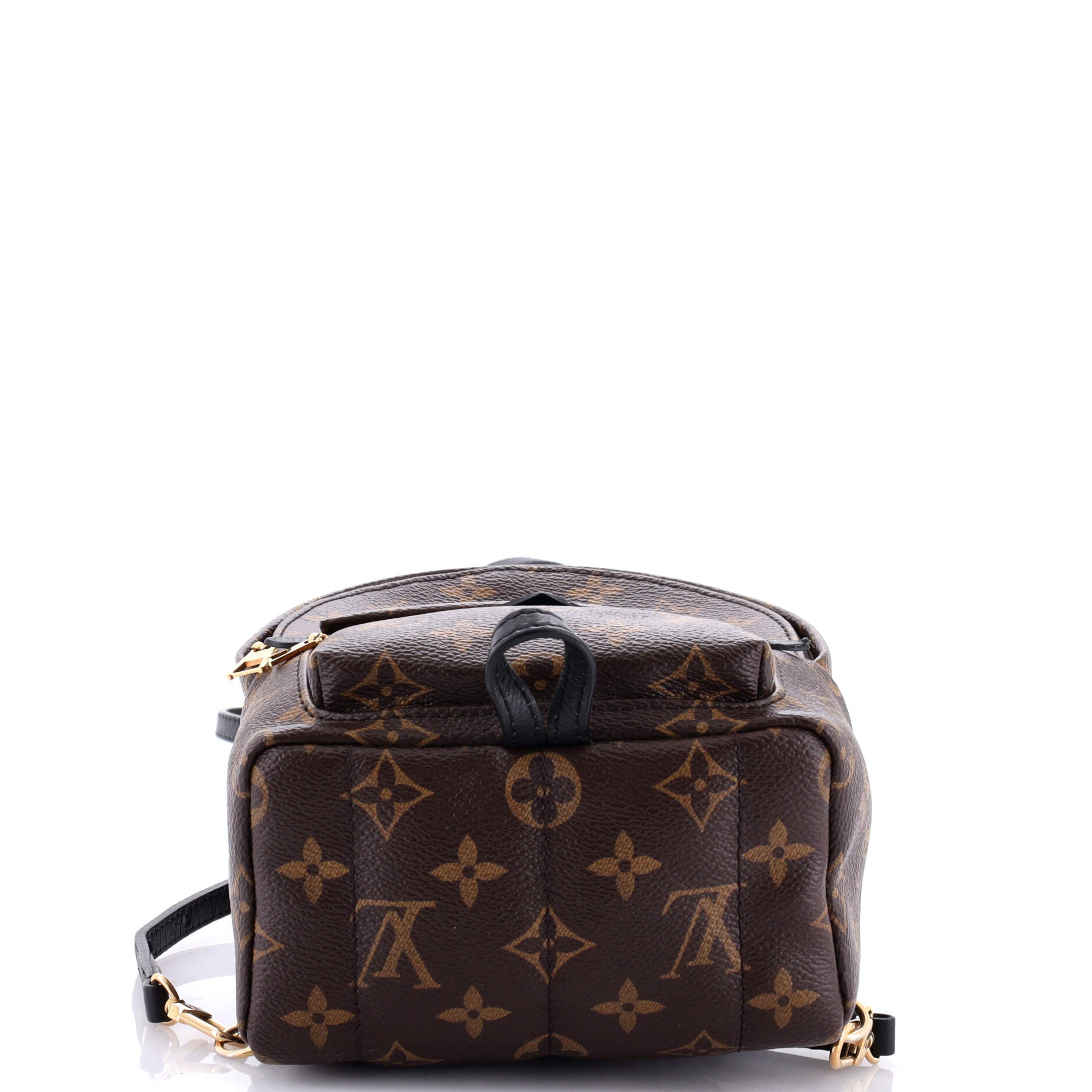 Louis Vuitton Palm Springs Backpack Monogram Canvas Mini