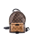 Louis Vuitton Palm Springs Backpack Reverse Monogram Canvas PM
