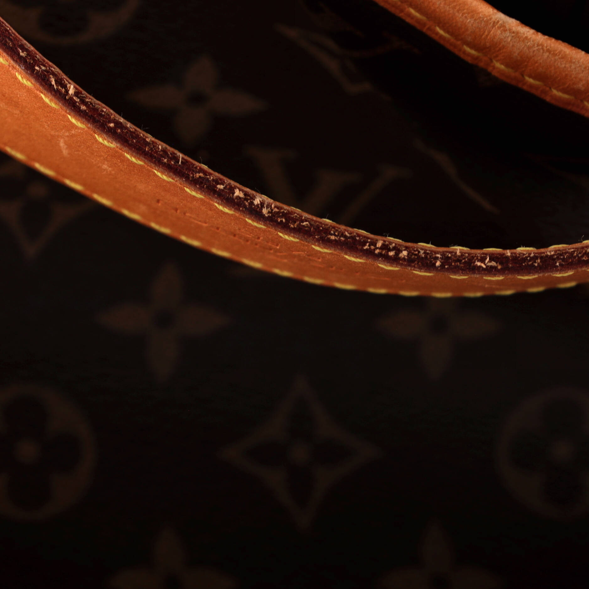Louis Vuitton Delightful Handbag Monogram Canvas PM