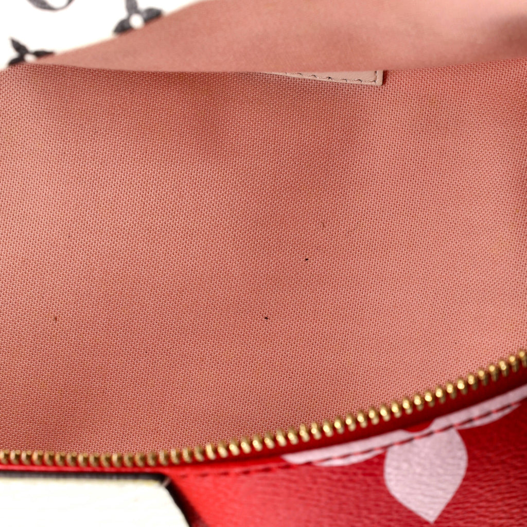 Louis Vuitton Bum Bag Limited Edition Colored Monogram Giant
