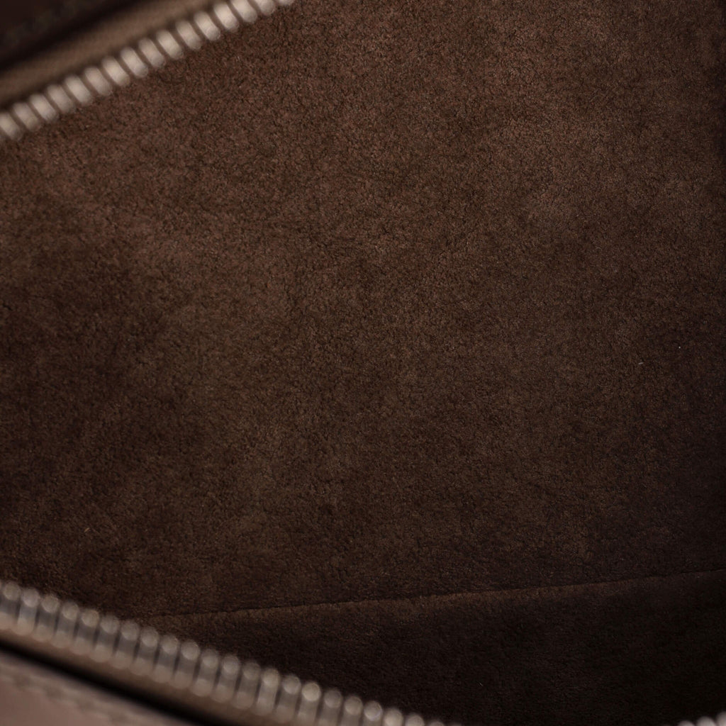 Louis Vuitton Asteria Handbag Mahina Leather