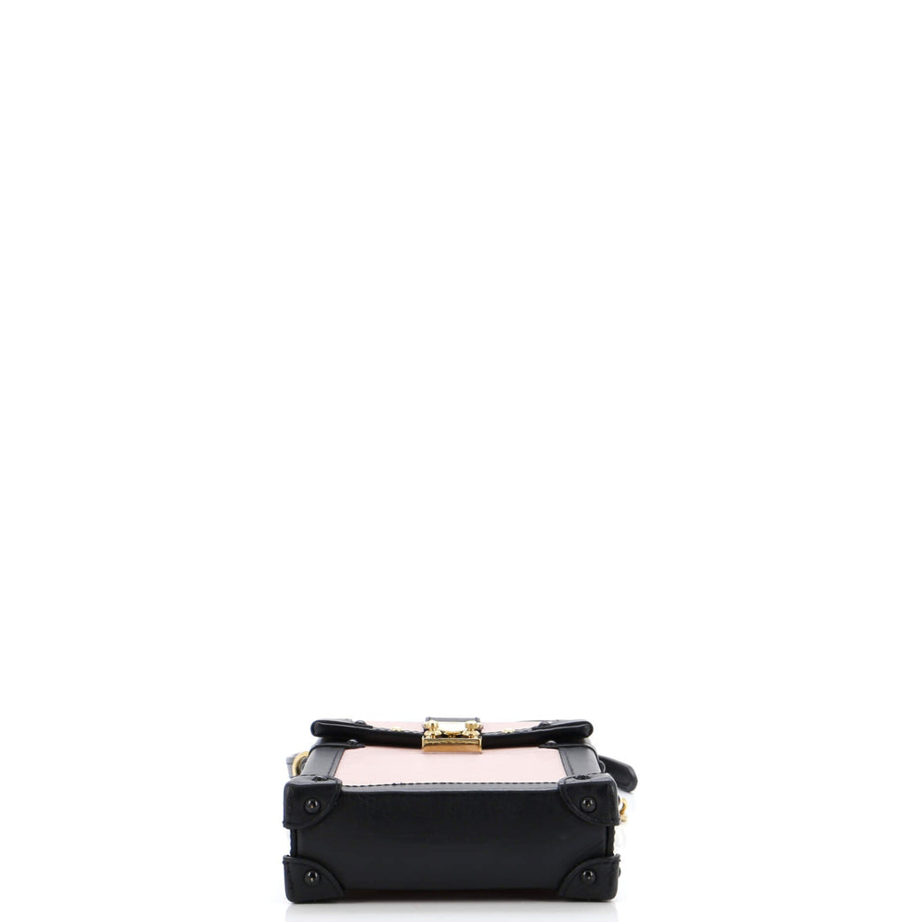 Louis Vuitton Vertical Trunk Pochette Epi Leather