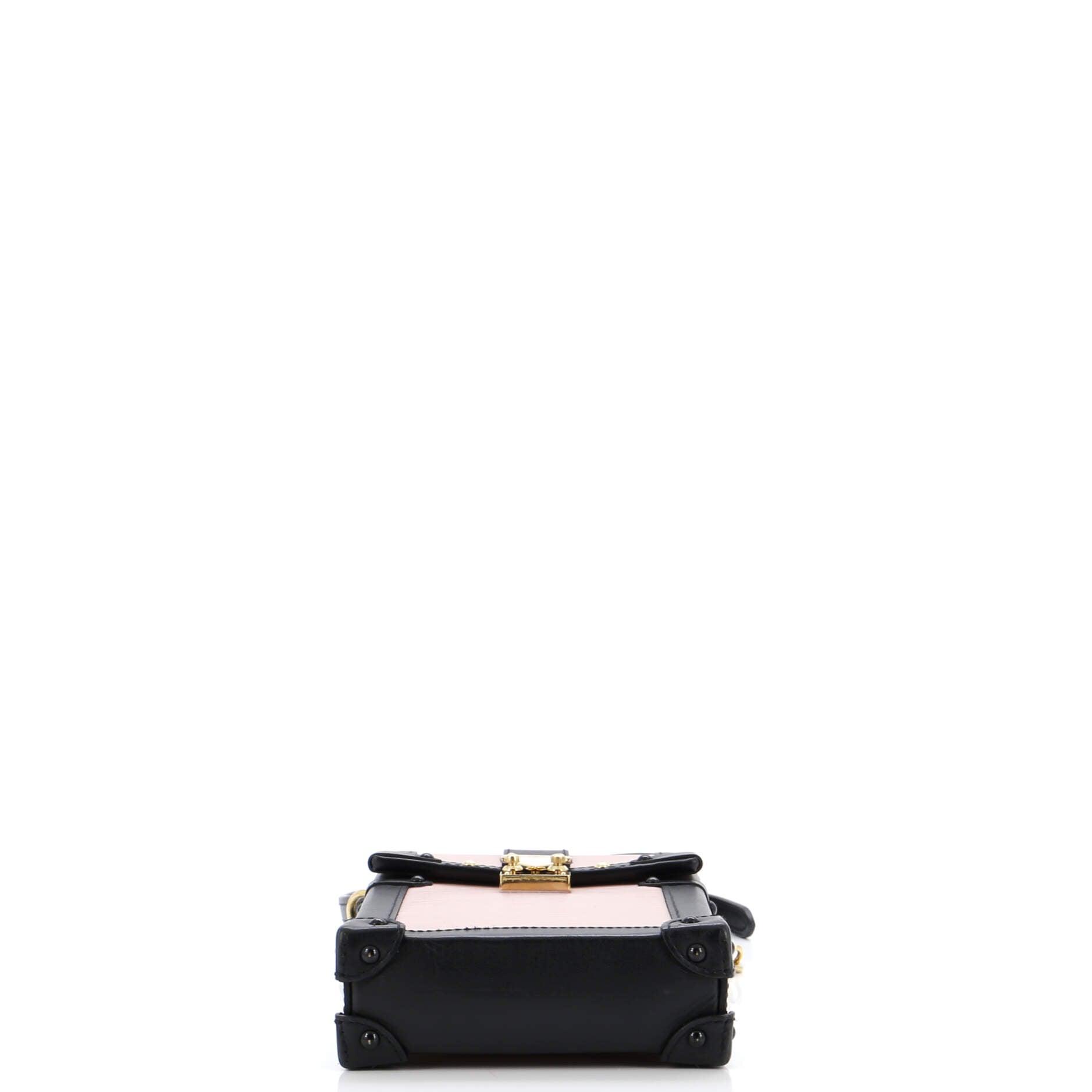 Louis Vuitton Vertical Trunk Pochette Epi Leather