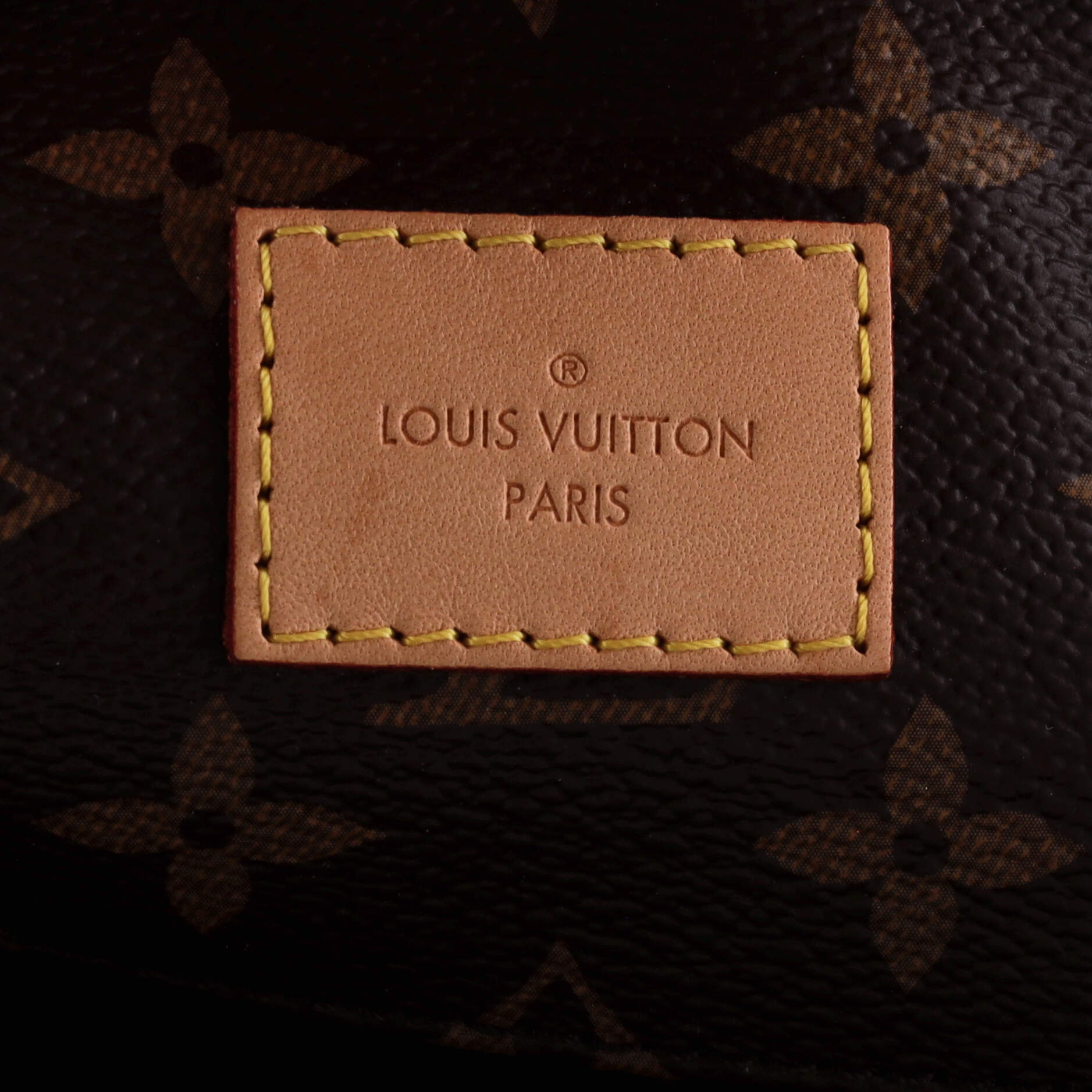 Louis Vuitton Melie Handbag Monogram Canvas