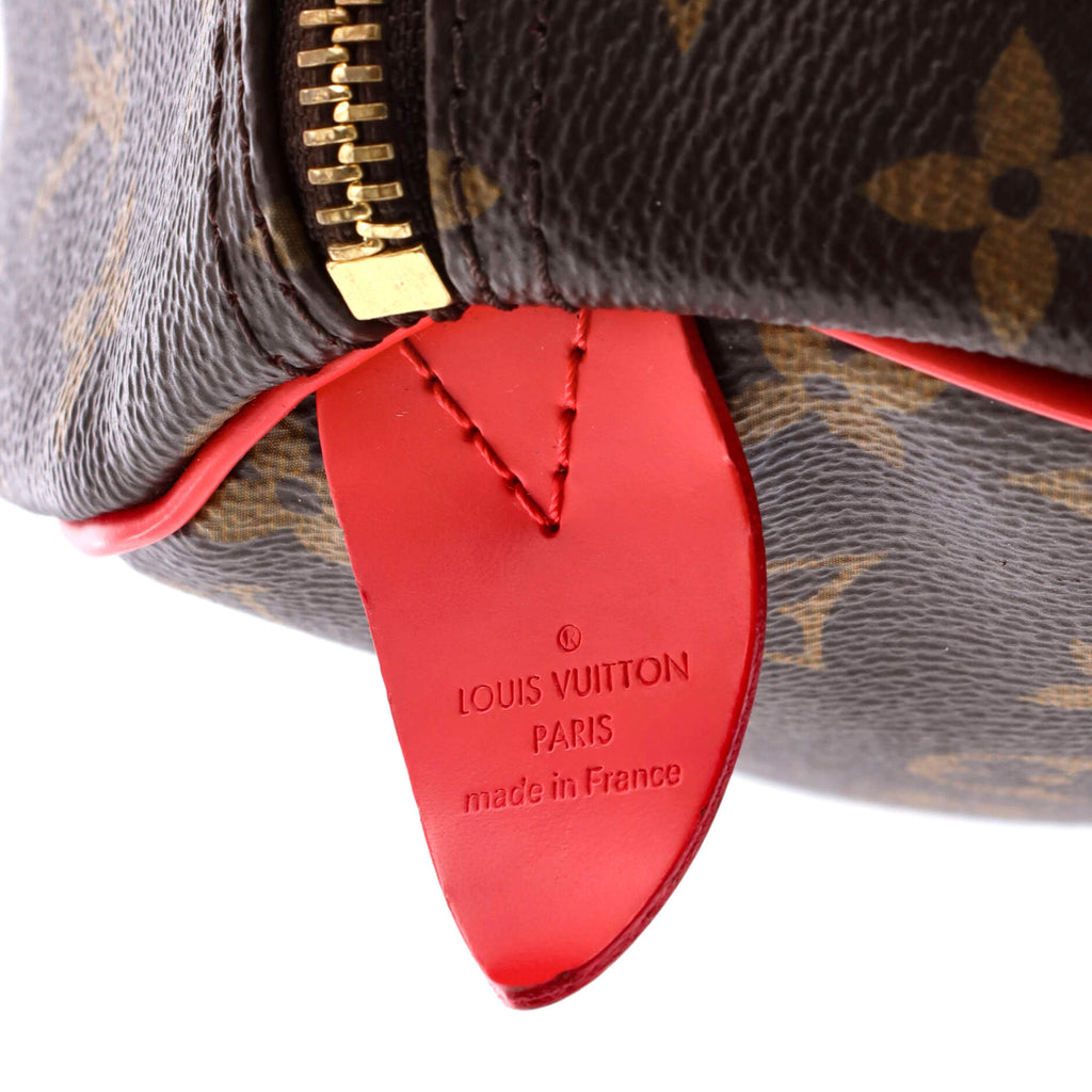 Louis Vuitton Speedy Handbag Limited Edition Totem Monogram Canvas 30