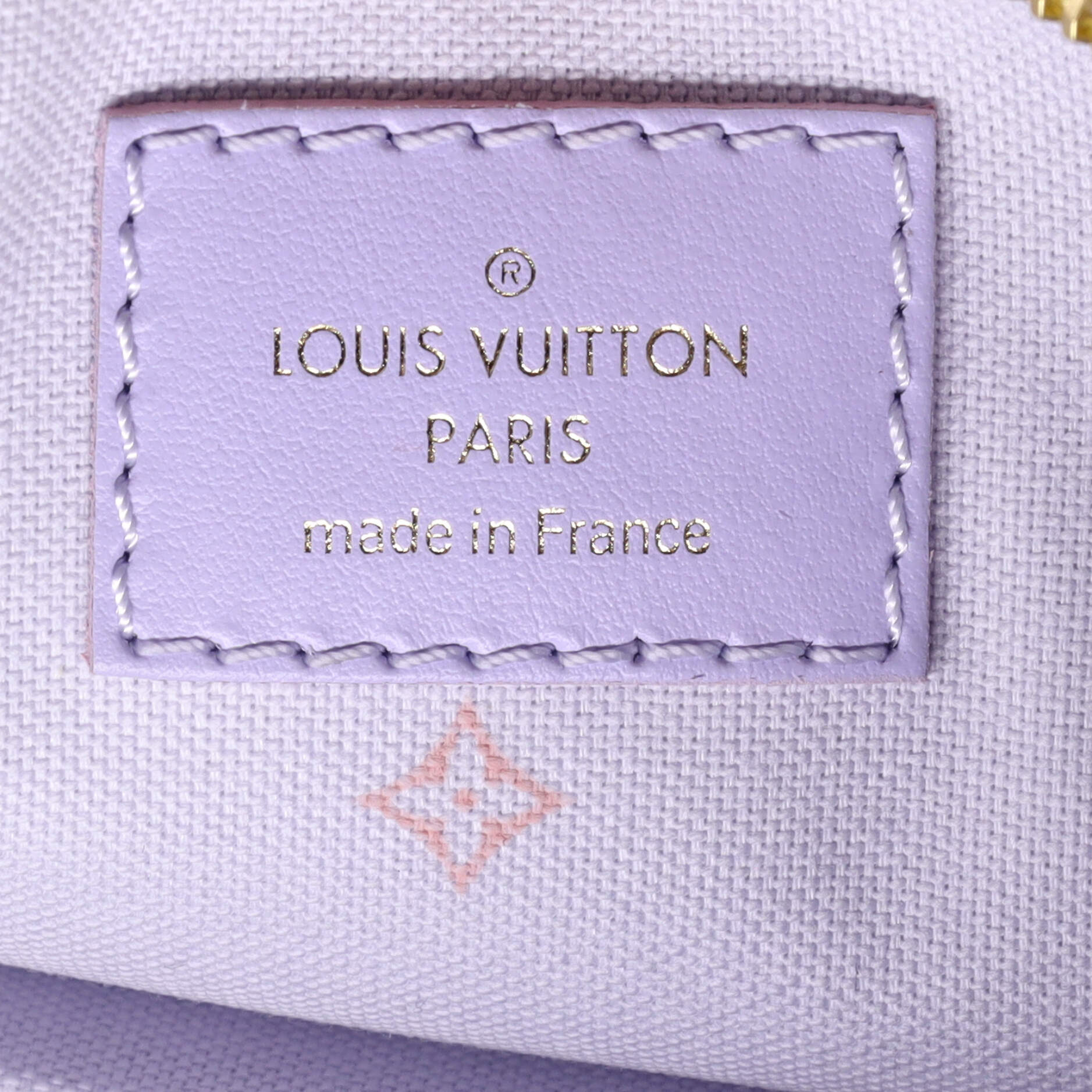 Louis Vuitton Marshmallow Bag Spring in the City Monogram Giant Canvas