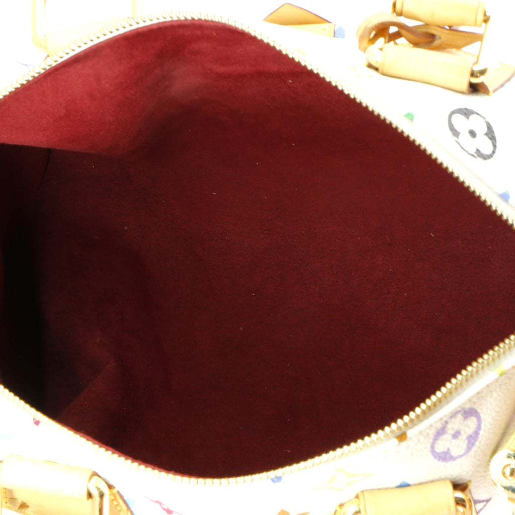 Louis Vuitton Speedy Handbag Monogram Multicolor 30