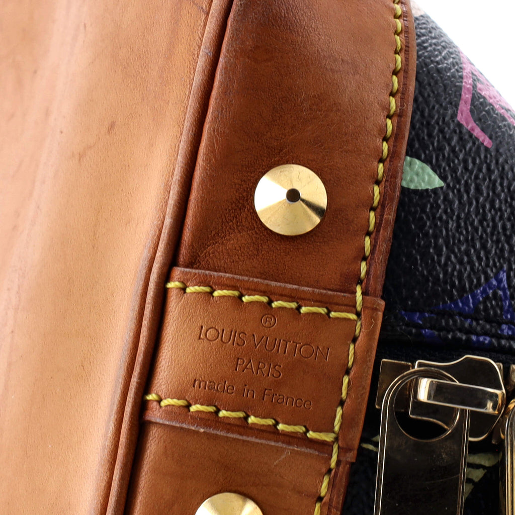 Louis Vuitton Alma Handbag Monogram Multicolor PM