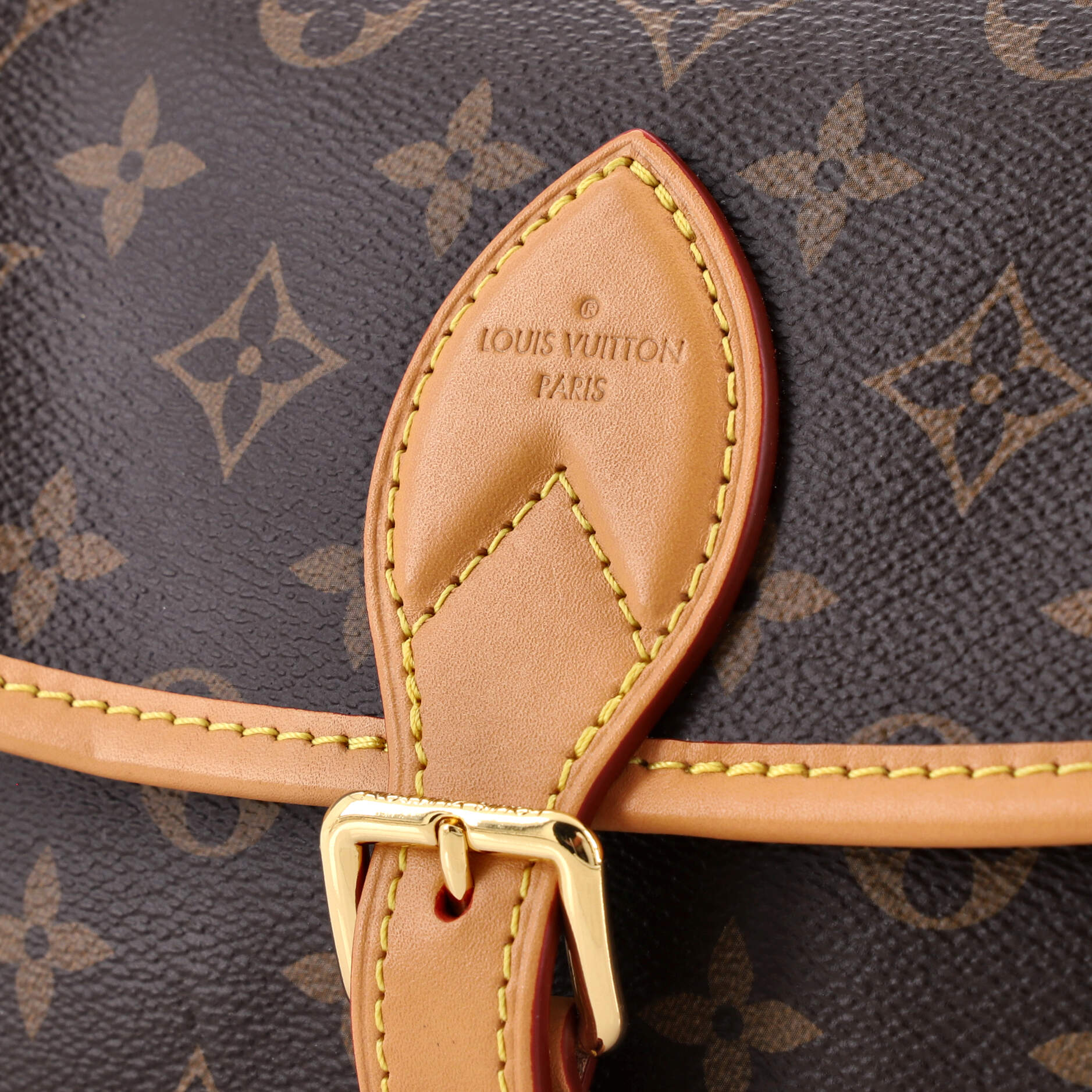 Louis Vuitton Diane NM Handbag Monogram Canvas