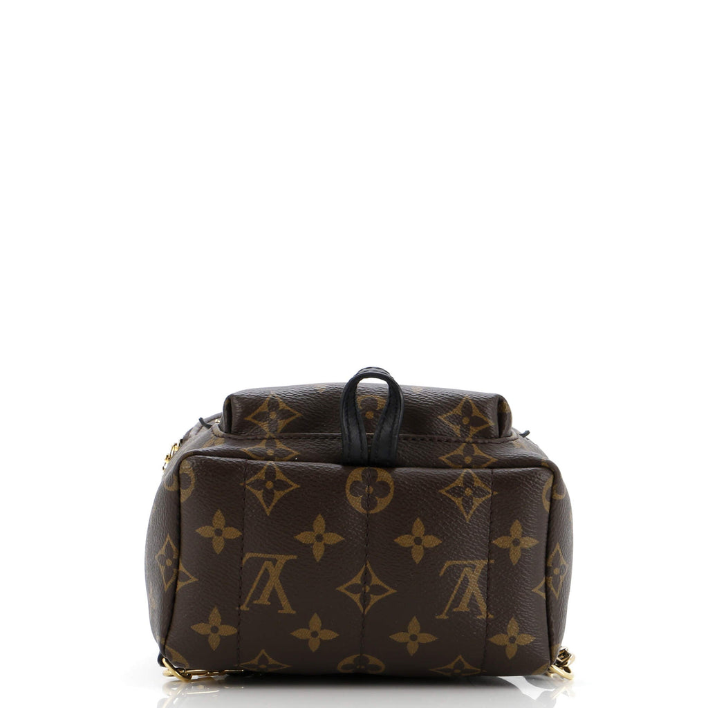 Louis Vuitton Palm Springs Backpack Monogram Canvas Mini