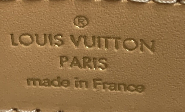 Louis Vuitton NeoNoe Handbag By The Pool Monogram Watercolor Giant BB