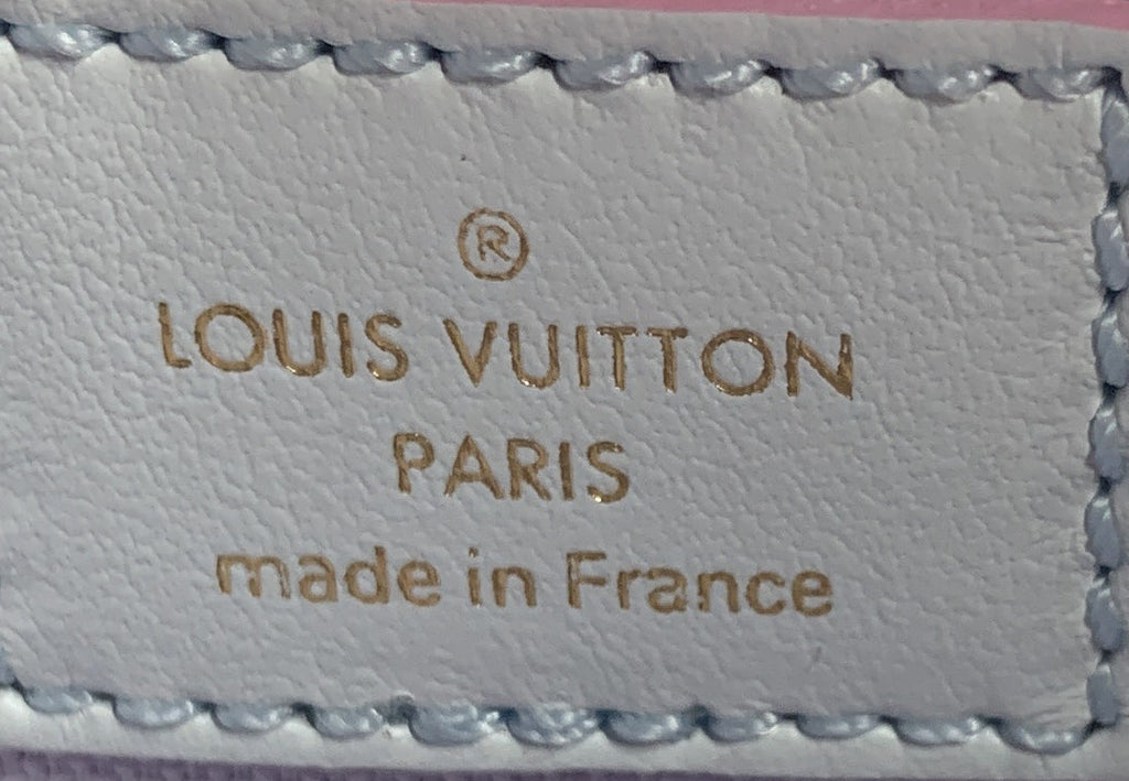 Louis Vuitton Wapity Case Spring in the City Monogram Giant Canvas