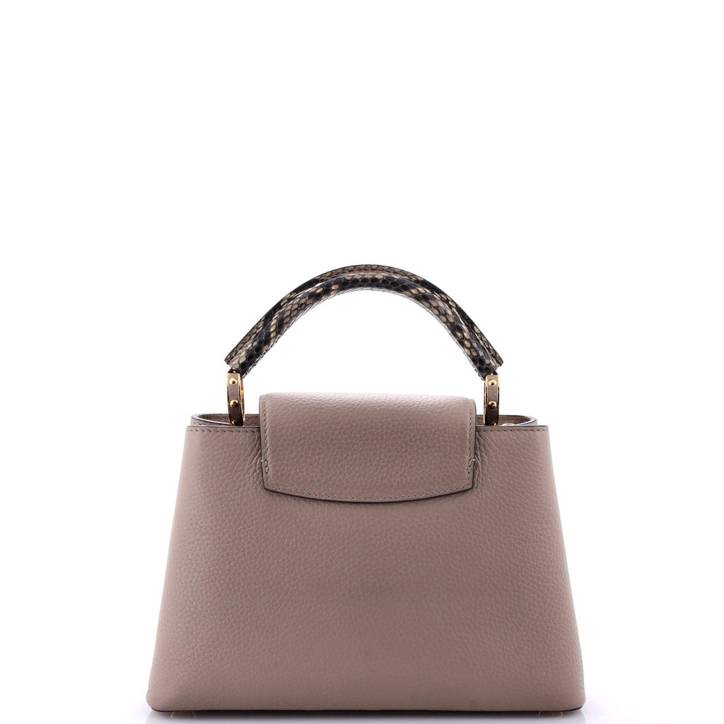 Louis Vuitton Capucines Bag Leather with Python BB