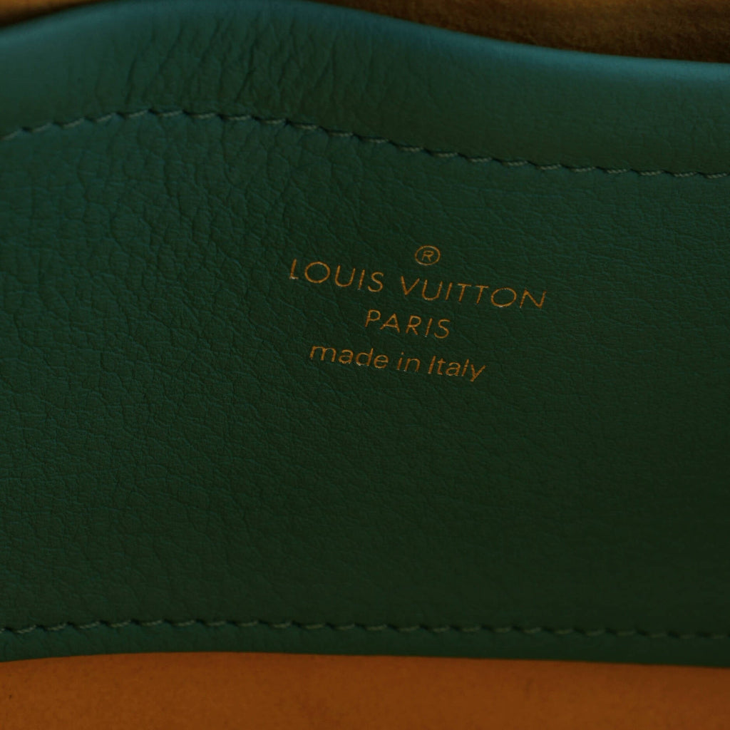 Louis Vuitton Utility Crossbody Bag Calfskin with Embossed Monogram Detail