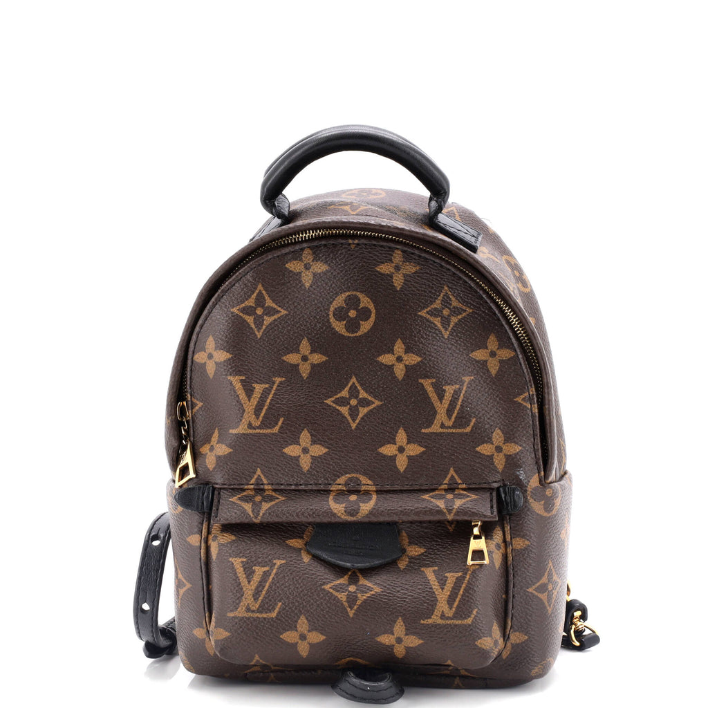 Louis Vuitton Palm Springs Backpack Monogram Canvas Mini