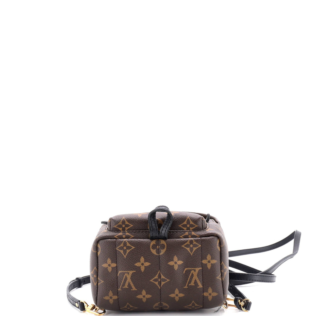 Louis Vuitton Palm Springs Backpack Monogram Canvas Mini