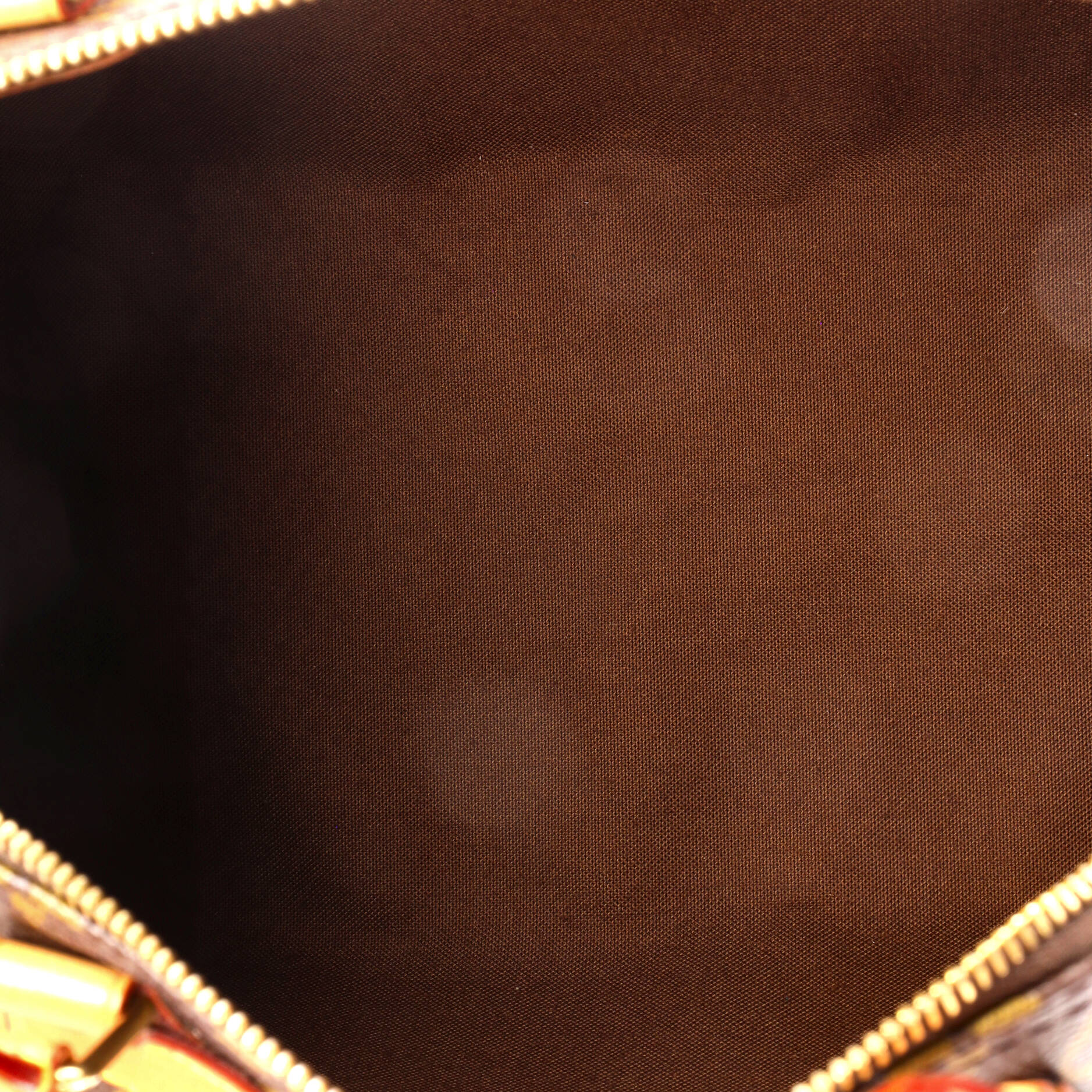Louis Vuitton Speedy Handbag Monogram Canvas 30