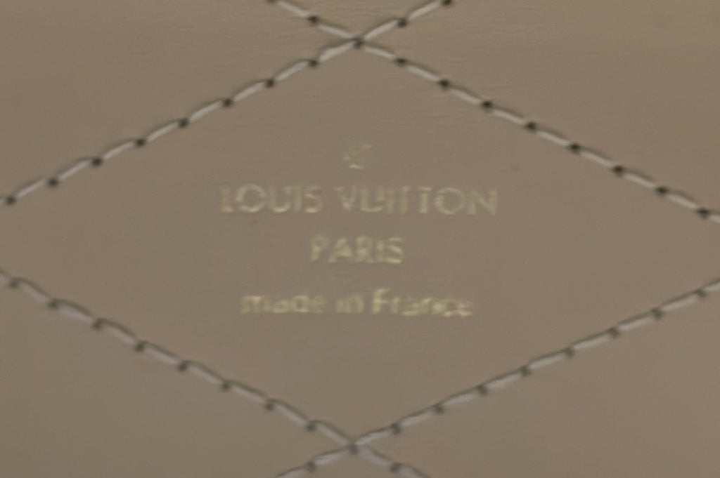 Louis Vuitton Camera Box Trunk Bag Monogram Canvas