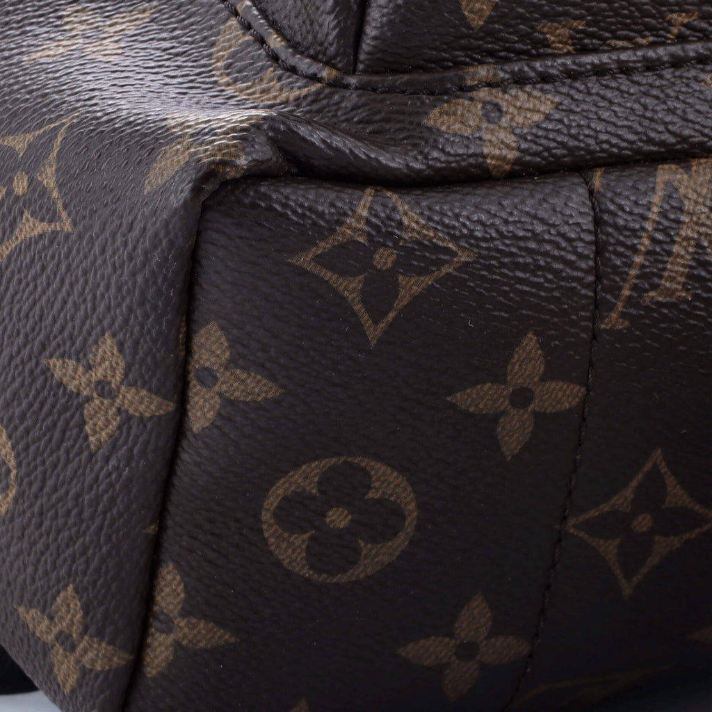 Louis Vuitton Palm Springs Backpack Monogram Canvas PM