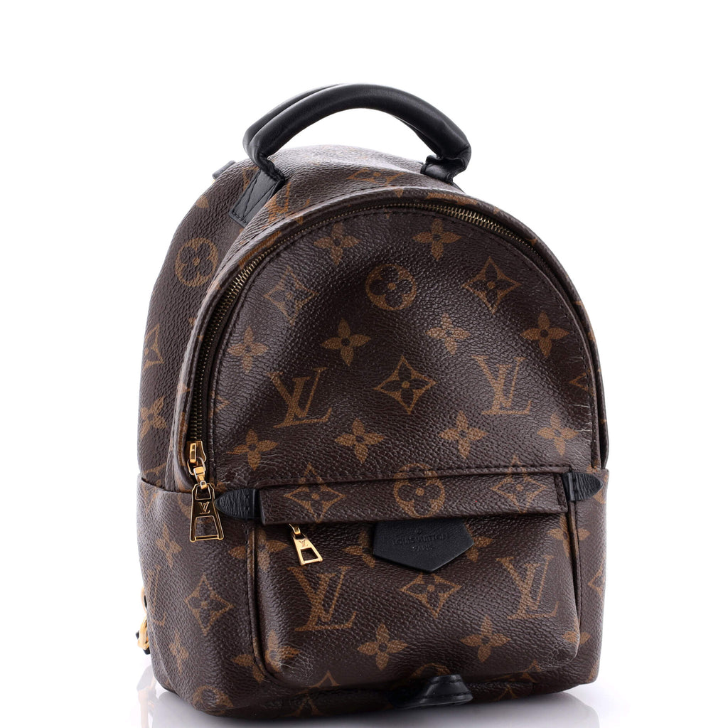 Louis Vuitton Palm Springs Backpack Monogram Canvas Mini